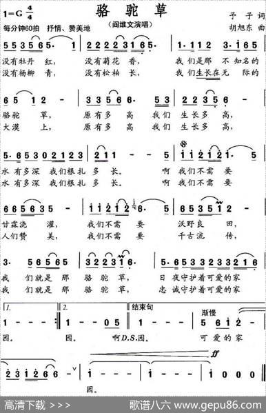 骆驼草（予子词胡旭东曲） - 予子|胡旭东