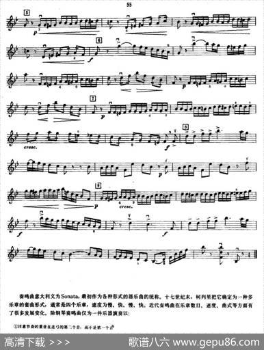小奏鸣曲|巴克兰诺娃
