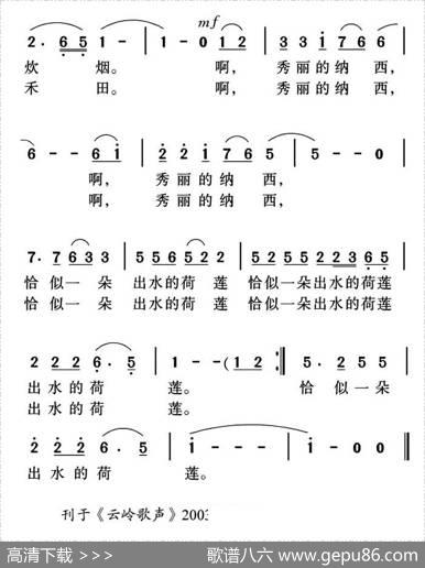 秀丽的纳西 - 陈江风|姜金富