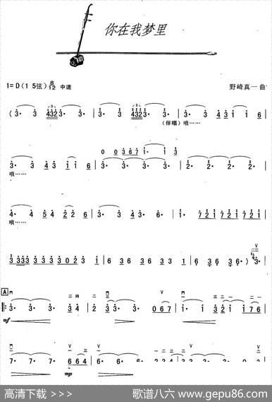 你在我梦里|野崎真一