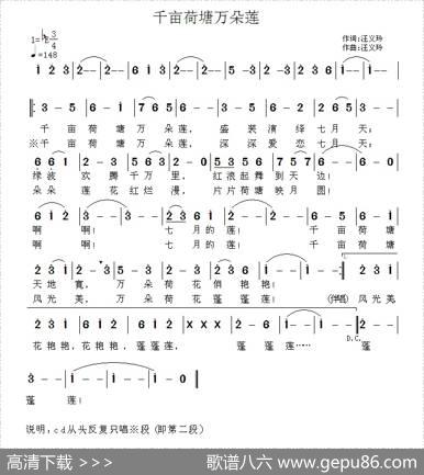 千亩荷塘万朵莲 - 汪义玲|汪义玲