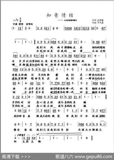 知青情结 - 波罗蜜|于凤瀛