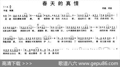 春天的真情 - 祁越|祁越