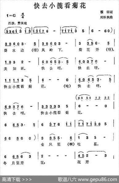 快去小榄看菊花 - 瞿琮|郑秋枫