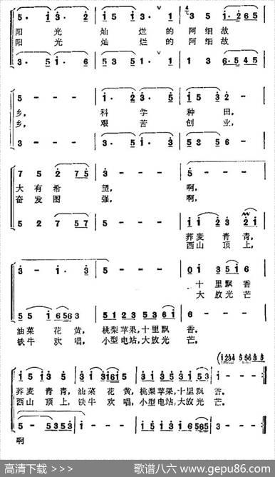 在阳光灿烂的阿细故乡 - 刘位循|张难