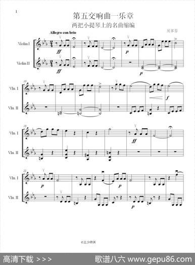 贝多芬第五交响曲一乐章（为两把小提琴的名曲缩编）|贝多芬少师缩编