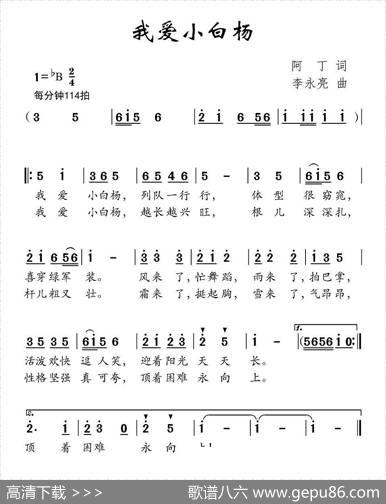 我爱小白杨 - 阿丁|李永亮