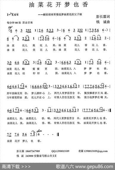 油菜花开梦也香 - 彭长霖|钱诚