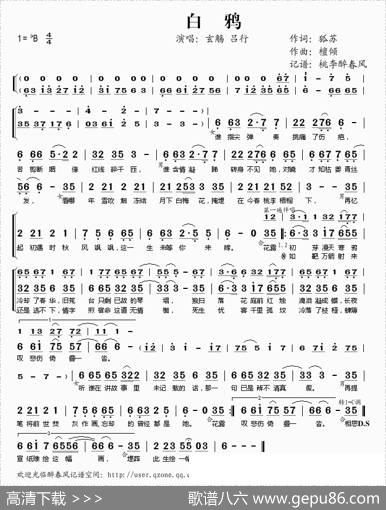 白鸦