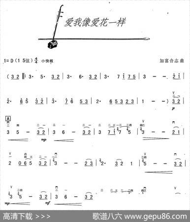 爱我像爱花儿一样|加富合志
