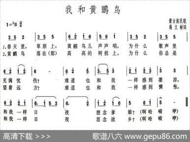 我和黄鹂鸟 - 蒋文彬
