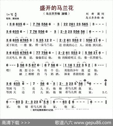 盛开的马兰花 - 刘新圈|乌兰齐齐格