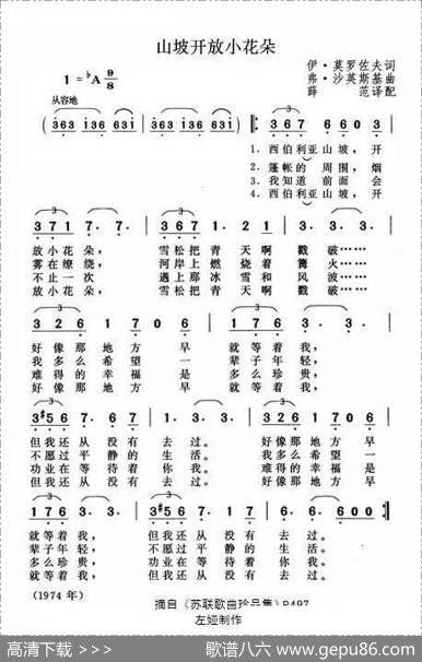 山坡开放小花朵（俄）
