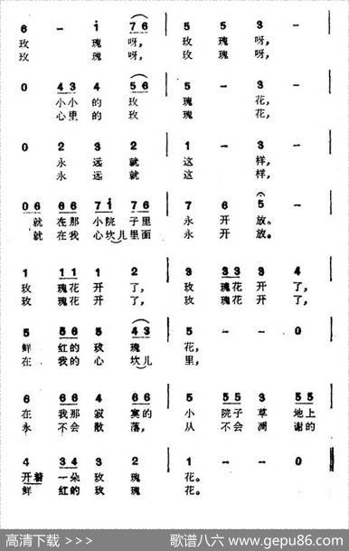 [日]玫瑰花开了|罗传开译配