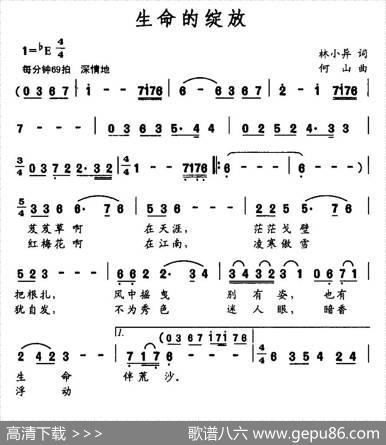 生命的绽放（林小异词何山曲） - 林小异|何山