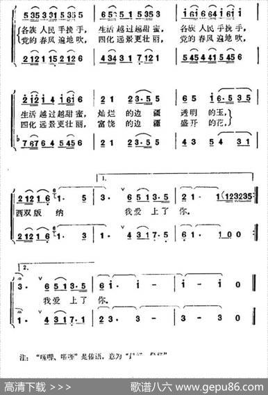 西双版纳我爱上了你 - 任红举|朱南溪