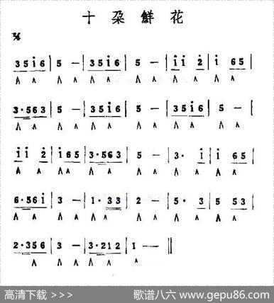 十朵鲜花