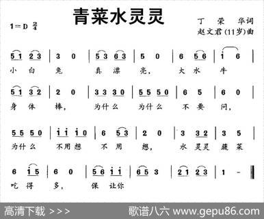青菜水灵灵 - 丁荣华|赵文君