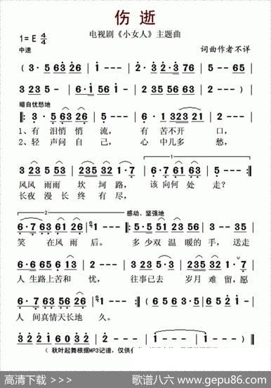 伤逝（电视剧《小女人》主题曲）
