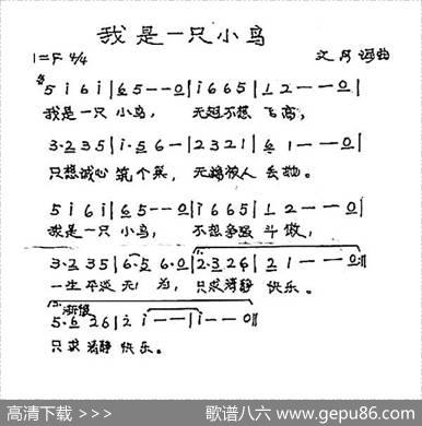 我是一只小鸟 - 杜文月|杜文月