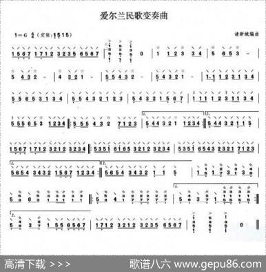 爱尔兰民歌变奏曲（中阮谱）