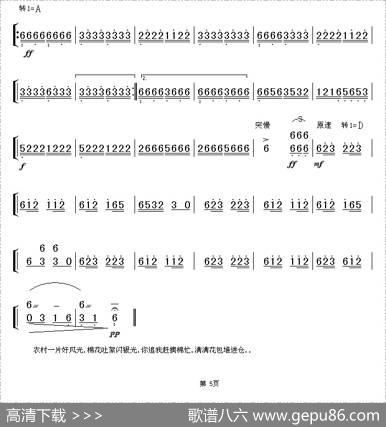 喜摘丰收棉