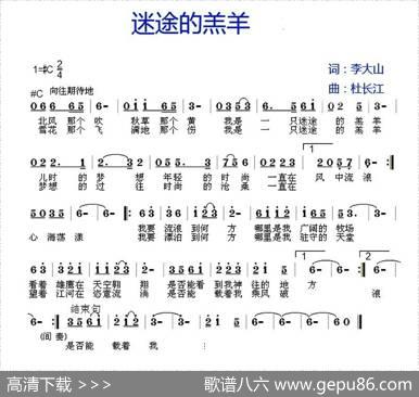 迷途的羔羊 - 李大山|杜长江