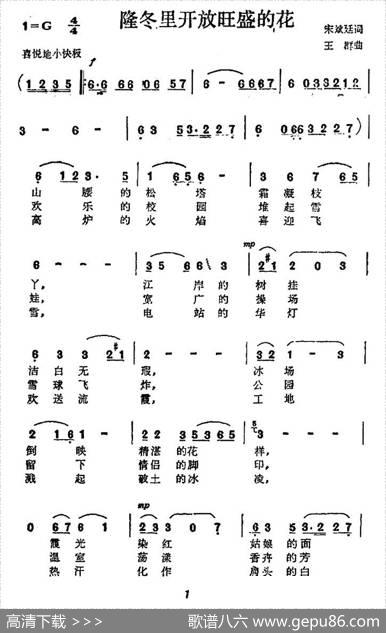 隆冬里开放旺盛的花 - 宋斌廷|王群