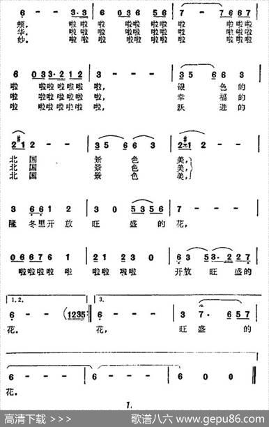 隆冬里开放旺盛的花 - 宋斌廷|王群