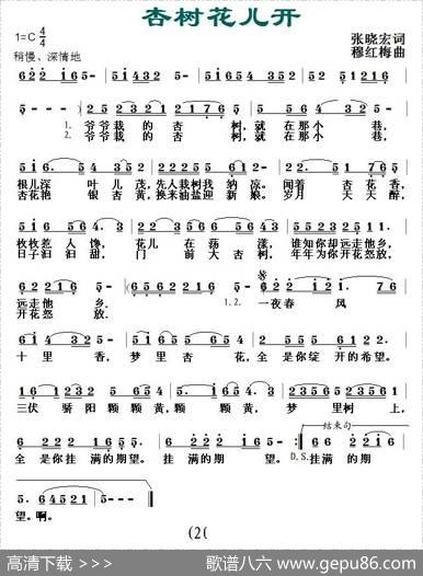 杏树花儿开 - 张晓宏|穆红梅