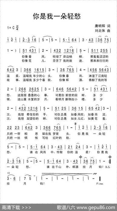 你是我一朵轻愁 - 唐明辉|刘北休