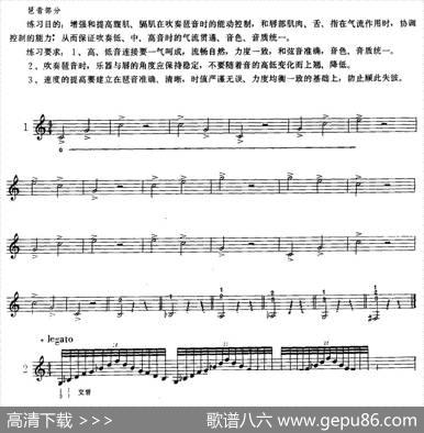 日常琶音练习（小号）