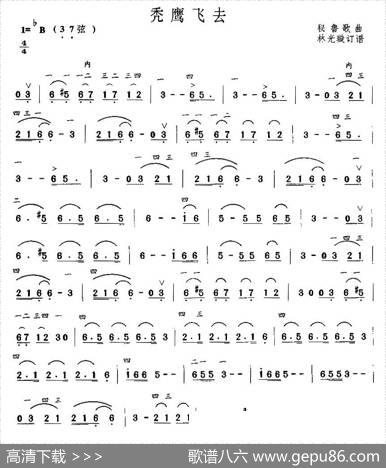 秃鹰飞去|秘鲁歌曲、林光璇订谱