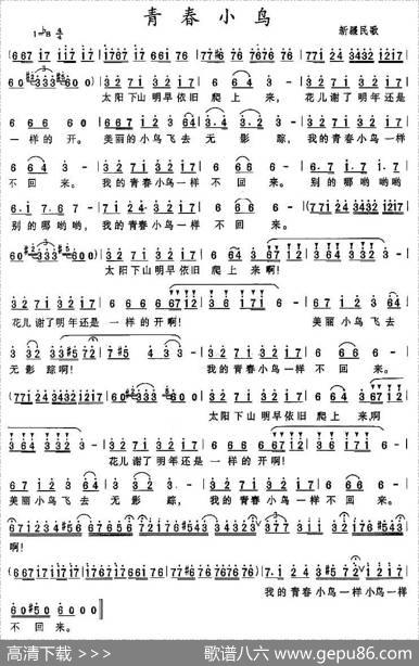 青春小鸟