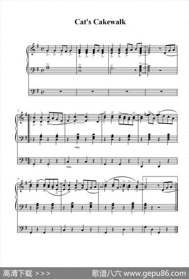 猫之步态舞（双排键电子琴曲）|根据DAVID钢琴曲改编