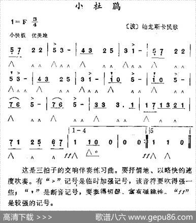 小杜鹃