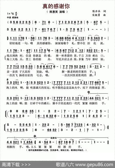 真的感谢你（陈亦兵词宋继勇曲） - 陈亦兵|宋继勇