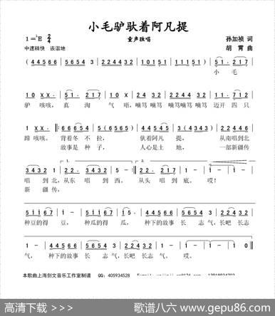 小毛驴驮着阿凡提（童声独唱） - 孙加祯|胡霄