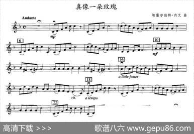 真像一朵玫瑰|埃塞尔伯特·内文