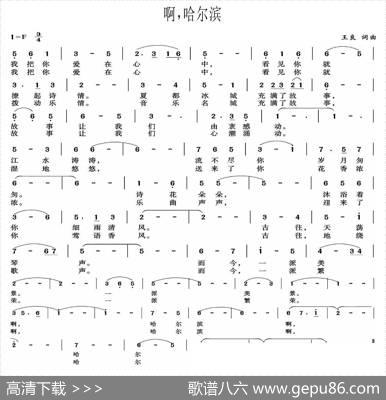 啊，哈尔滨 - 王良|王良