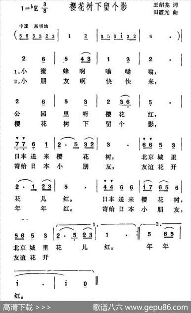 樱花树下留个影 - 王绍亮|田霞光
