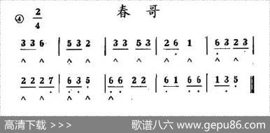 春哥