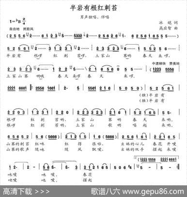 半岩有根红刺苔（男声独唱、伴唱） - 冰皑|高应智