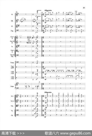 节日舞曲（管弦乐合奏总谱）|张延龄