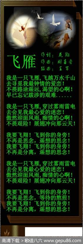 飞雁 - 龙翔|刘春爱