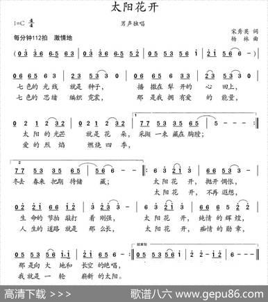 太阳花开 - 宋秀英|杨林