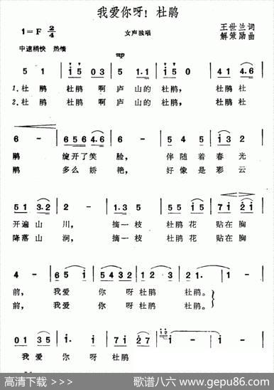 我爱你呀！杜鹃 - 王世兰|解策励