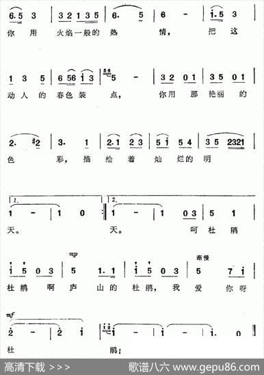 我爱你呀！杜鹃 - 王世兰|解策励