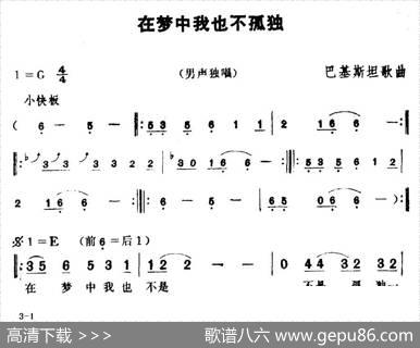 [巴基斯坦]在梦中我也不孤独