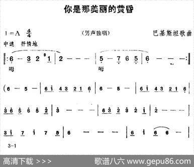 [巴基斯坦]你是那美丽的黄昏